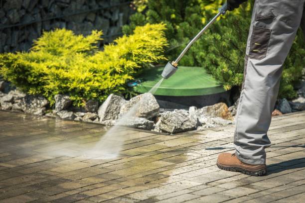 Best Warehouse Cleaning  in Flandreau, SD