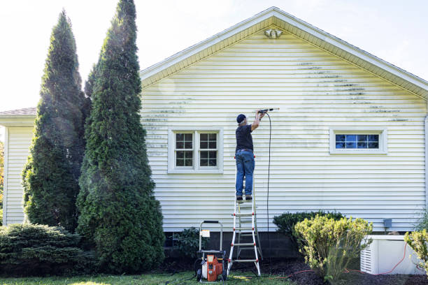 Best Driveway Pressure Washing  in Flandreau, SD